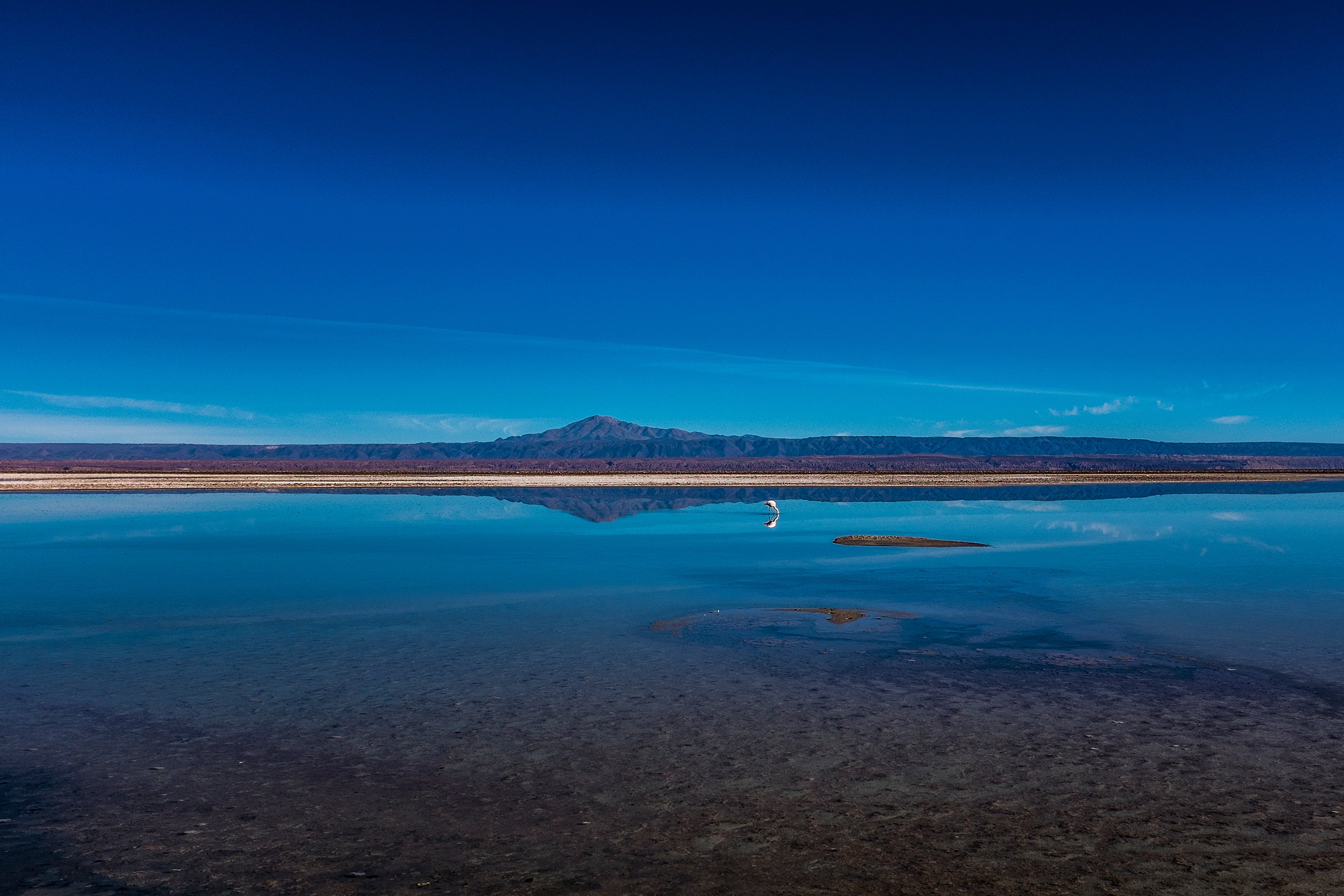 Lagoa no Atacama