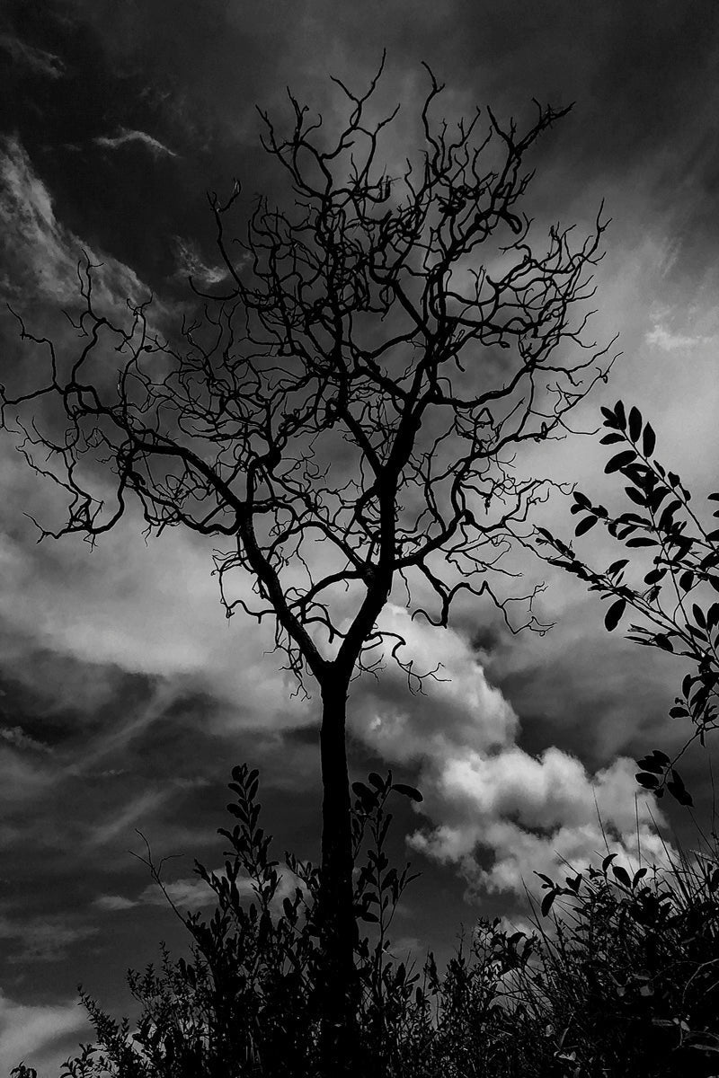 Chapada dos Veadeiros