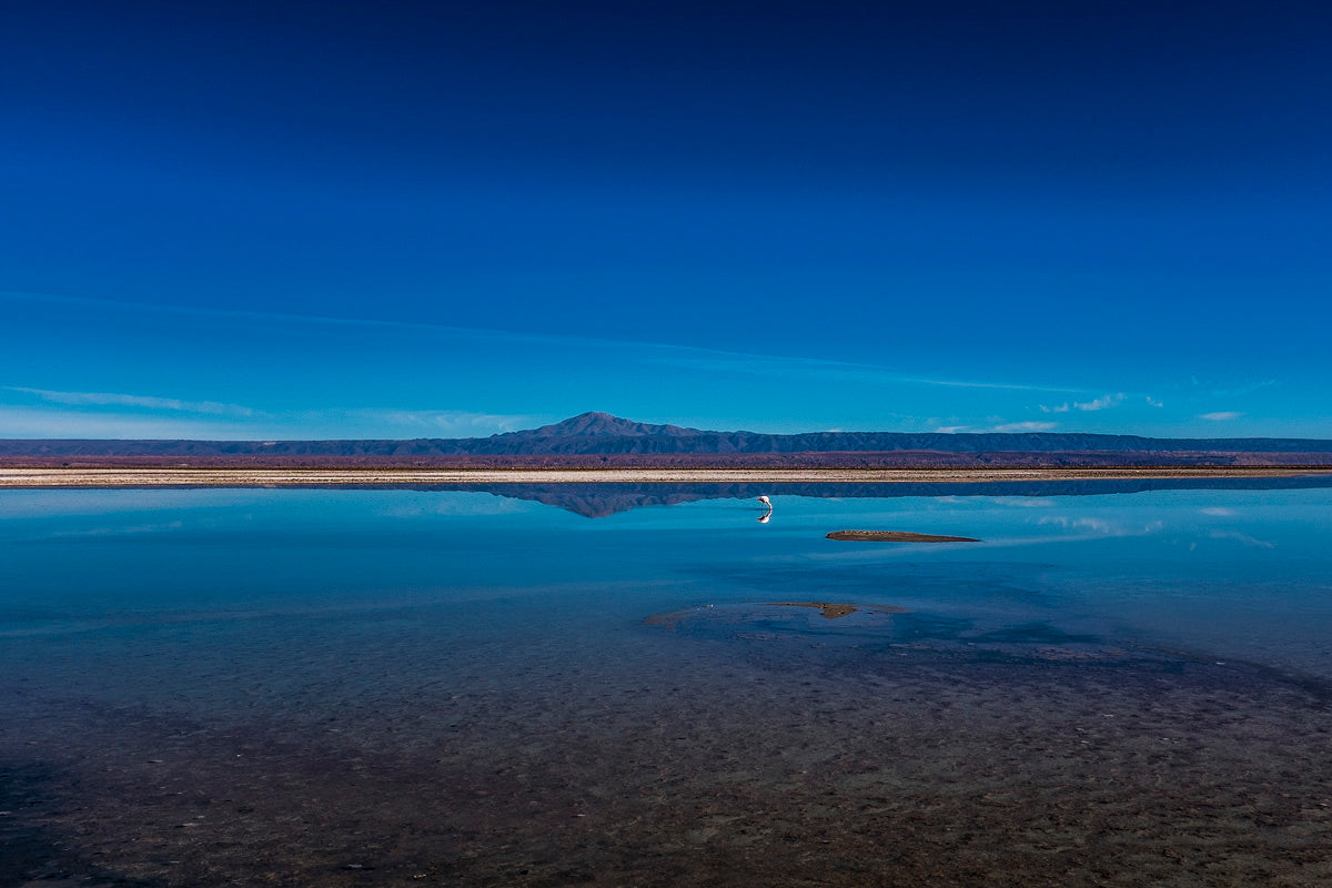 Rerflexos no Atacama